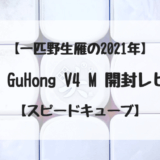 【 一匹野生雁の2021年 】 DaYan GuHong V4 M 開封レビュー【 スピードキューブ・ルービックキューブ 】